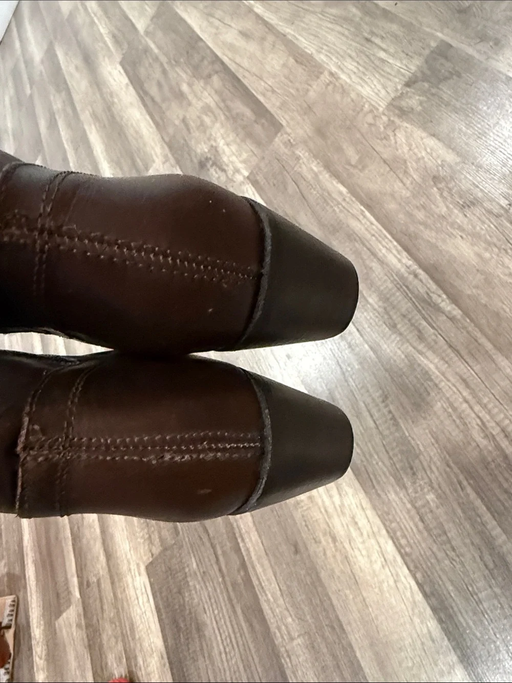 Frye classic tall